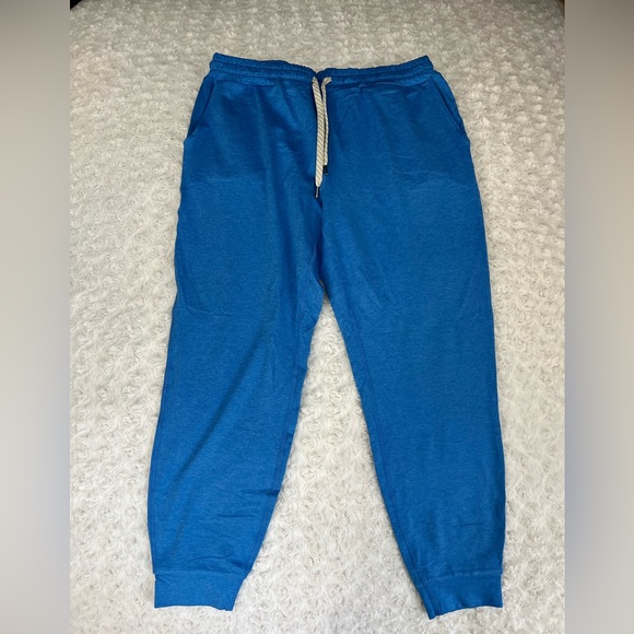 Vuori Vibrant Blue Performance Jogger - Picture 3 of 5